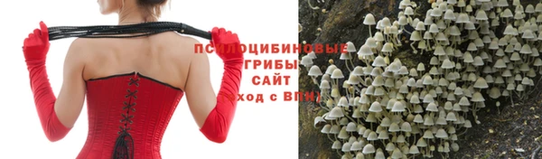 гидра Верхний Тагил