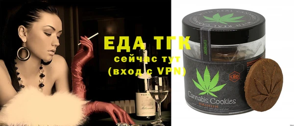 гидра Верхний Тагил