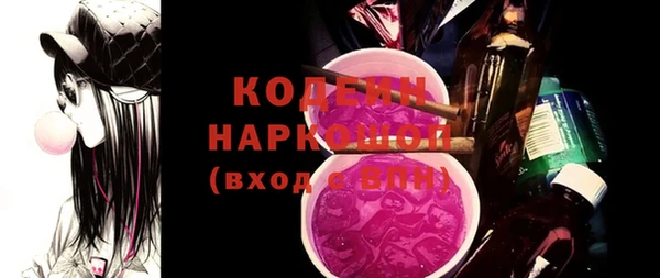 гидра Верхний Тагил