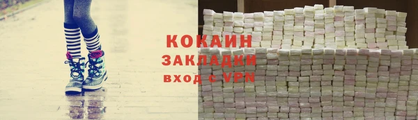 гидра Верхний Тагил