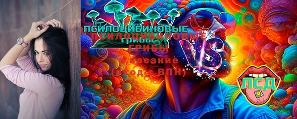 гидра Верхний Тагил