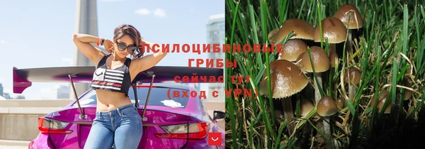 гидра Верхний Тагил