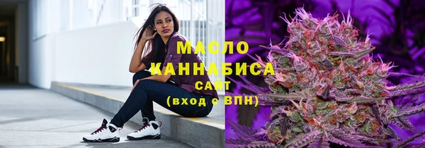 твердый Бородино