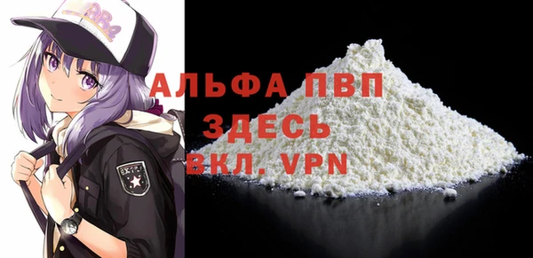 гидра Верхний Тагил